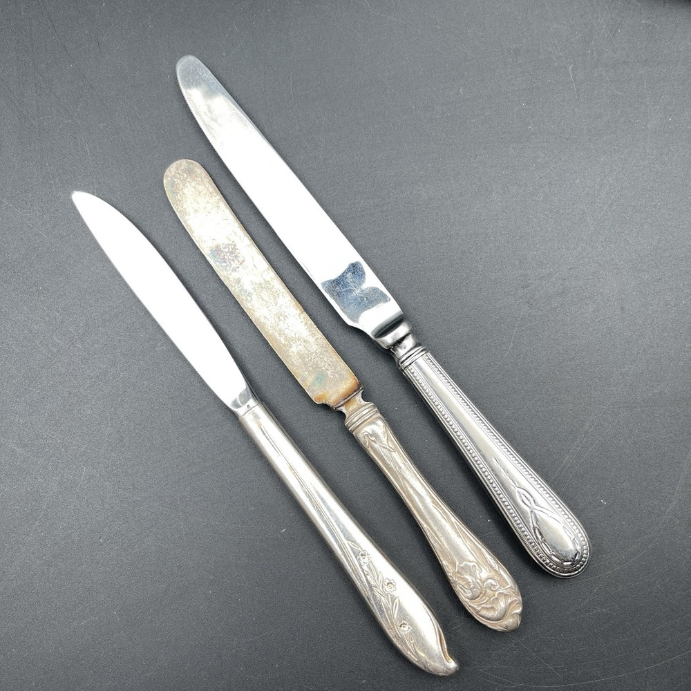 Lot‎ 3 Vintage Hollow Handle Dinner Knives Flower De Luce Bateman Springtime